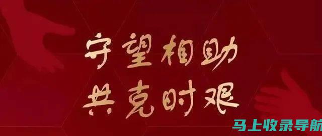 网住成功，信赖专业的百度SEO优化服务实现卓越营销效果